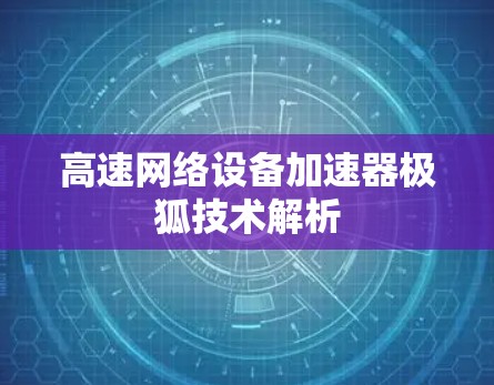 高速网络设备加速器极狐技术解析
