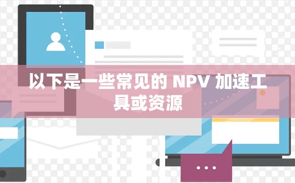 以下是一些常见的 NPV 加速工具或资源