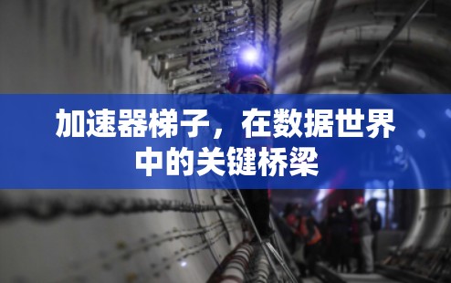 加速器梯子，在数据世界中的关键桥梁