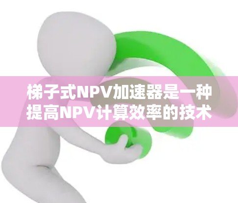 梯子式NPV加速器是一种提高NPV计算效率的技术，通过将未来现金流按时间顺序排列形成梯子式的结构，从而减少折现计算的次数，提高计算效率。以下是关于梯子式NPV加速器的详细分析