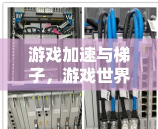 游戏加速与梯子，游戏世界中的连接与创新