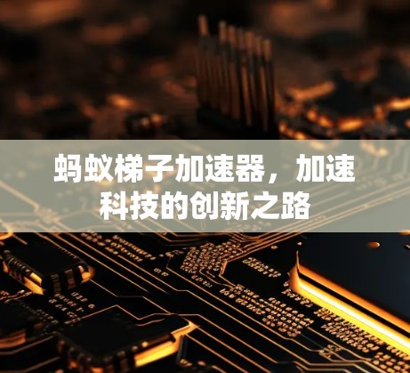 蚂蚁梯子加速器，加速科技的创新之路