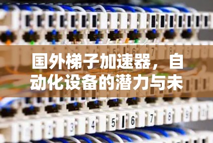 国外梯子加速器，自动化设备的潜力与未来