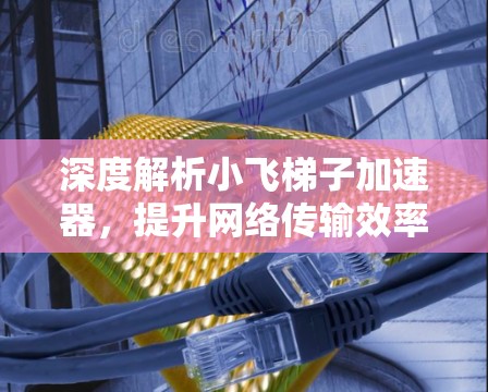 深度解析小飞梯子加速器，提升网络传输效率的必备工具