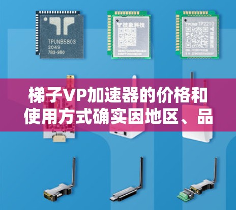 梯子VP加速器的价格和使用方式确实因地区、品牌、需求、预算等多方面因素而有所不同。以下是一些关键点，帮助您更好地理解梯子VP加速器的价格和使用