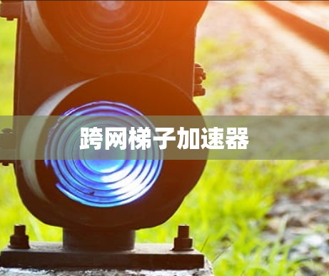 跨网梯子加速器
