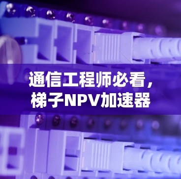 通信工程师必看，梯子NPV加速器解析