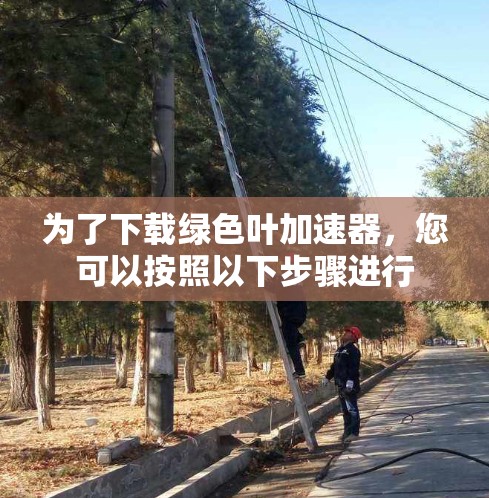 为了下载绿色叶加速器，您可以按照以下步骤进行