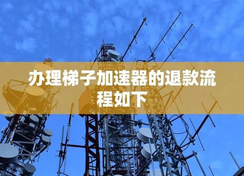 办理梯子加速器的退款流程如下