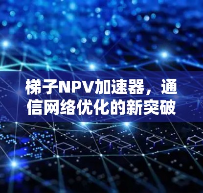 梯子NPV加速器，通信网络优化的新突破