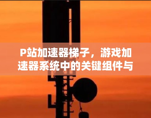 P站加速器梯子，游戏加速器系统中的关键组件与优化策略
