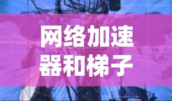 网络加速器和梯子是提升网络连接性能的工具，各有其独特的优势和应用场景。以下是对它们的详细分析