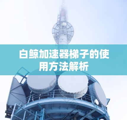 白鲸加速器梯子的使用方法解析