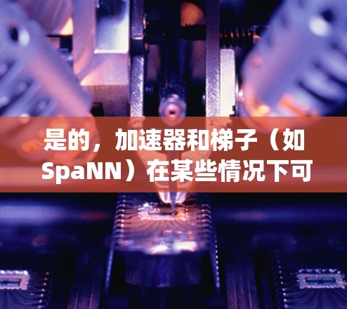 是的，加速器和梯子（如 SpaNN）在某些情况下可以同时使用，但它们有不同的适用场景和优缺点，取决于具体的需求。以下是一些考虑因素