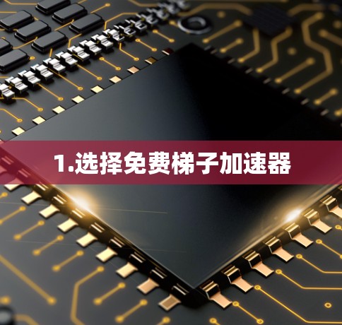 1.选择免费梯子加速器