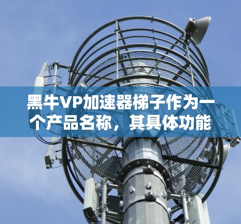 黑牛VP加速器梯子作为一个产品名称，其具体功能和用途取决于其品牌和市场定位。以下是对该产品可能的市场分析和优化建议