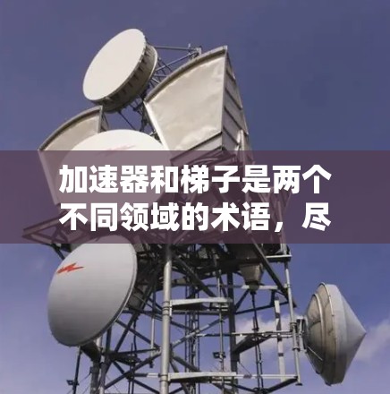 加速器和梯子是两个不同领域的术语，尽管它们在某些情况下可能有相似的功能，但它们的用途和适用领域不同