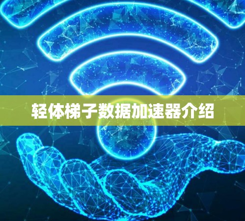 轻体梯子数据加速器介绍