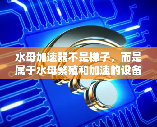 水母加速器不是梯子，而是属于水母繁殖和加速的设备。以下是关于水母加速器的详细介绍