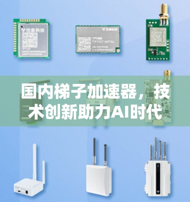 国内梯子加速器，技术创新助力AI时代的智能化