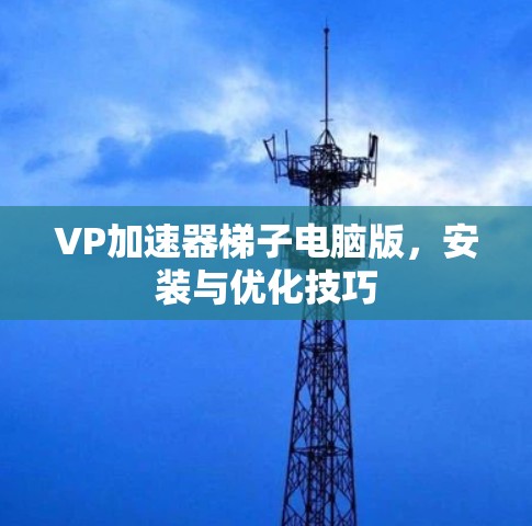 VP加速器梯子电脑版，安装与优化技巧