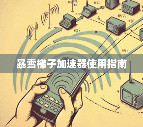 暴雪梯子加速器使用指南