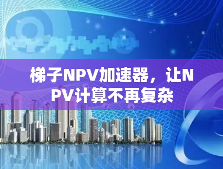 梯子NPV加速器，让NPV计算不再复杂