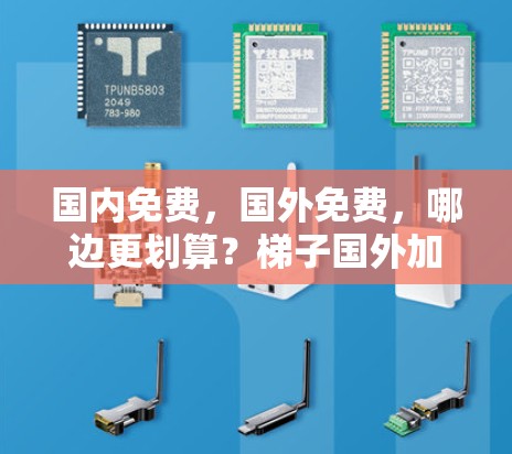 国内免费，国外免费，哪边更划算？梯子国外加速器的性价比分析
