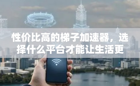 性价比高的梯子加速器，选择什么平台才能让生活更高效？