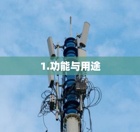1.功能与用途