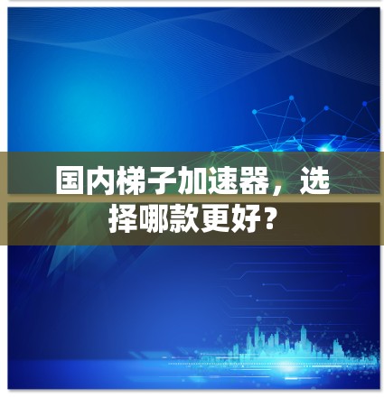 国内梯子加速器，选择哪款更好？