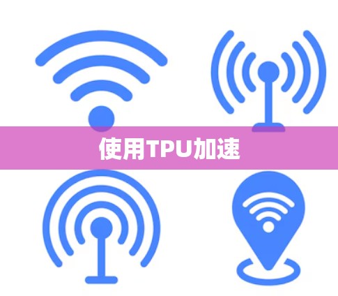 使用TPU加速
