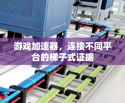 游戏加速器，连接不同平台的梯子式证据