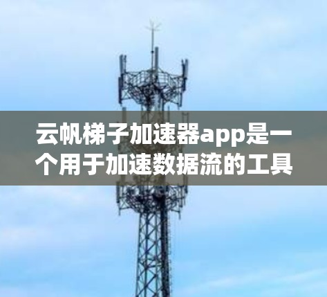 云帆梯子加速器app是一个用于加速数据流的工具，可能涉及数据存储、处理或传输方面。以下是对该应用的详细介绍