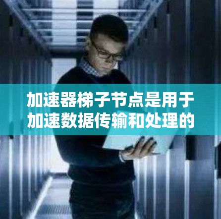 加速器梯子节点是用于加速数据传输和处理的网络设备，通常连接多个设备或用户端，提升网络连接的速度和性能。以下是对加速器梯子节点的详细理解和使用指南