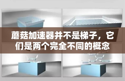 蘑菇加速器并不是梯子，它们是两个完全不同的概念