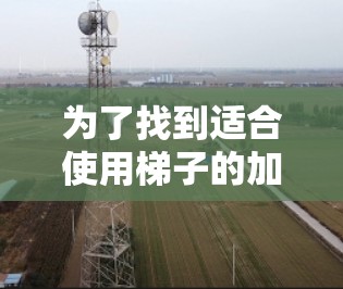 为了找到适合使用梯子的加速器，以下是一些综合考虑的因素和推荐