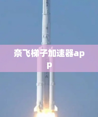 奈飞梯子加速器app