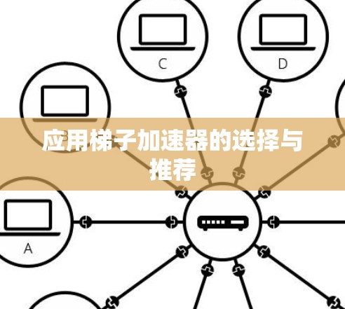 应用梯子加速器的选择与推荐