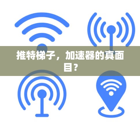 推特梯子，加速器的真面目？