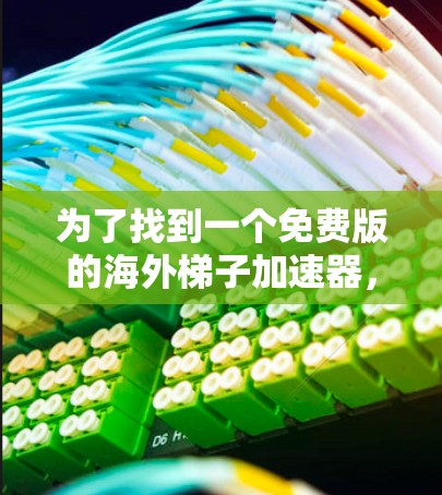 为了找到一个免费版的海外梯子加速器，以下是一些步骤和建议