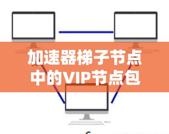 加速器梯子节点中的VIP节点包括以下结构