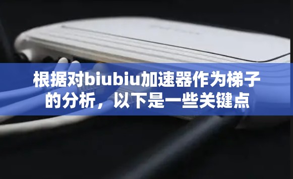 根据对biubiu加速器作为梯子的分析，以下是一些关键点