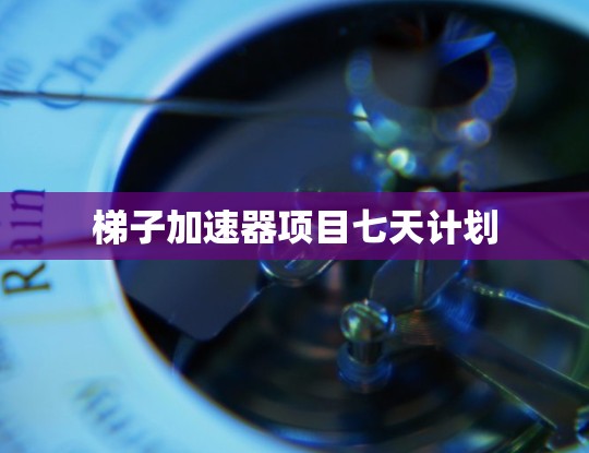 梯子加速器项目七天计划