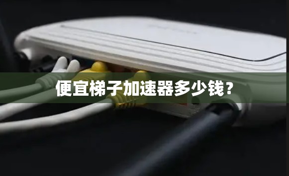 便宜梯子加速器多少钱？