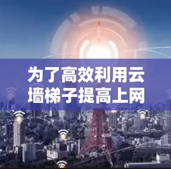为了高效利用云墙梯子提高上网速度，您可以按照以下步骤操作