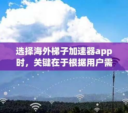 选择海外梯子加速器app时，关键在于根据用户需求和需求来评估不同的app。以下是一些综合考虑的因素和推荐