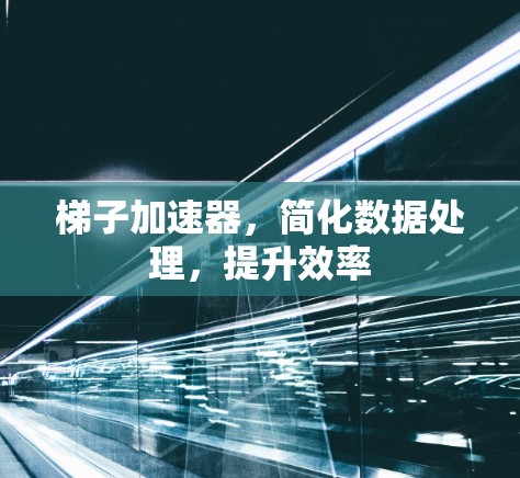 梯子加速器，简化数据处理，提升效率
