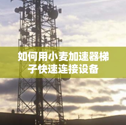 如何用小麦加速器梯子快速连接设备