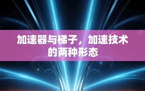 加速器与梯子，加速技术的两种形态